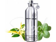 WHITE MUSK MONTALE   100  5000+%+