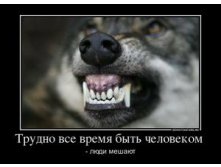 56539328_trudno-vse-vremya-byit-chelovekom-_thumbnail.jpg