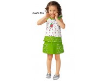 GAVS274    SET  , 338 