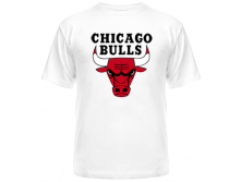 Chicago Bulls 260 