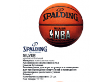   Spalding  Silver IndoorOutdoor  1185p.png