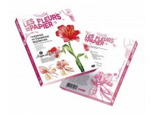 957004_Fleurs-en-Papier_3D-Boxes.jpg