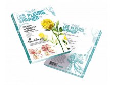 957005_Fleurs-en-Papier_3D-Boxes.jpg