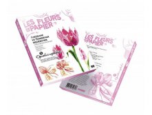 957008_Fleurs-en-Papier_3D-Boxes.jpg