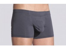 daitres_boxer_inside_elastic_long_gray_2min.JPG