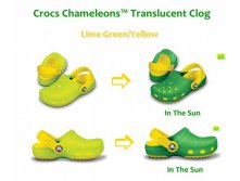 0072   Chameleons Lime Green - Yellow 808 ..JPG