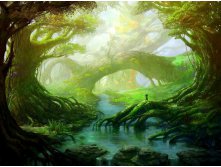 178334__fantasy-forest_p.jpg
