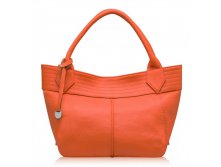 ASTI  ( . B00241 (orange)  )