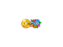 flower.jpg