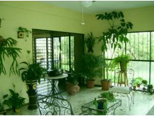 Room-Interior-with-Plants-Decor-1-469x352 (2).jpg