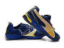 puma_908_1_mid 2400.jpg