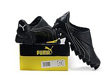 puma_007_0_mid 2500.jpg