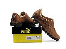 puma_007_2_mid 2500.jpg