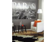 Cite de Paris 184 x 127 cm (1 parts) art. 1-613 