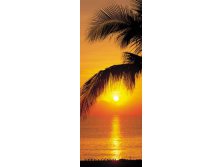 2-1255 Palmy beach sunrise 97220.jpg
