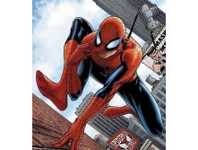 23220_spider_man.jpg