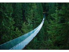 1326920888_capilano_suspension_bridge_01.jpg