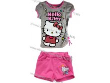 http://www.aliexpress.com/item/2013-New-free-shipping-5set-1lot-kids-clothes100-cotton-children-cartoon-clothing-RosesT-shirt-shorts-suit/806426541.html