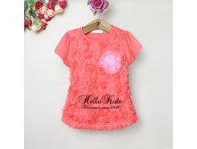 http://www.aliexpress.com/store/group/Girl-T-Shirts/319010_212112754.html