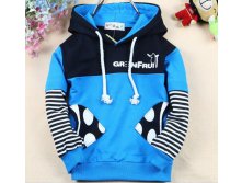 http://www.aliexpress.com/item/free-shipping-children-clothing-Pisces-Features-pocket-stitching-Fake-two-Zebra-sleeves-Hooded-sweater-C018/756702656.html