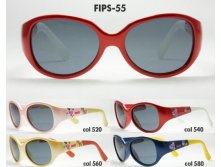 FIPS-55 - 950,00.jpg