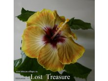 090 - Lost Treasure.jpg