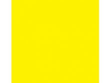 Yellow_00083.jpg