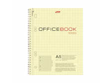 80. , , .,  , Officebook (), 8055_06602(T59111) 24 , 16 ..png