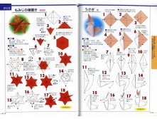 Seibido_Shuppan_Sha_Jitsuyou_Origami (61).jpg