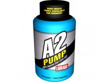  (11036-A2 Pump 120 ).jpg