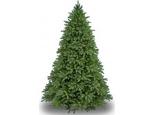   "" 2.13,   (National Tree Company, ) - 25506