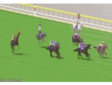 funny-gif-Japan-horse-race-1.gif