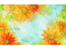 558_orange_flowers_wallpaper.jpg