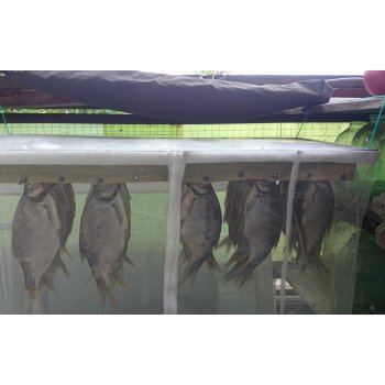 ΠΊΠ°ΠΊ ΡΠΏΠ°ΡΡΠΈ Π»Π΅ΡΠ° Ρ Π΄ΡΡΠΊΠΎΠΌ ΠΏΠΎΡΠ»Π΅ Π·Π°ΡΠΎΠ»ΠΊΠΈ. Π‘ΠΌΠΎΡΡΠ΅ΡΡ ΡΠΎΡΠΎ ΠΊΠ°ΠΊ ΡΠΏΠ°ΡΡΠΈ Π»Π΅ΡΠ° Ρ Π΄ΡΡΠΊΠΎΠΌ ΠΏΠΎΡΠ»Π΅ Π·Π°ΡΠΎΠ»ΠΊΠΈ. Π‘ΠΌΠΎΡΡΠ΅ΡΡ ΠΊΠ°ΡΡΠΈΠ½ΠΊΡ ΠΊΠ°ΠΊ ΡΠΏΠ°ΡΡΠΈ Π»Π΅ΡΠ° Ρ Π΄ΡΡΠΊΠΎΠΌ ΠΏΠΎΡΠ»Π΅ Π·Π°ΡΠΎΠ»ΠΊΠΈ. ΠΠ°ΡΡΠΈΠ½ΠΊΠ° ΠΏΡΠΎ ΠΊΠ°ΠΊ ΡΠΏΠ°ΡΡΠΈ Π»Π΅ΡΠ° Ρ Π΄ΡΡΠΊΠΎΠΌ ΠΏΠΎΡΠ»Π΅ Π·Π°ΡΠΎΠ»ΠΊΠΈ. Π€ΠΎΡΠΎ ΠΊΠ°ΠΊ ΡΠΏΠ°ΡΡΠΈ Π»Π΅ΡΠ° Ρ Π΄ΡΡΠΊΠΎΠΌ ΠΏΠΎΡΠ»Π΅ Π·Π°ΡΠΎΠ»ΠΊΠΈ ΠΊΠ°ΠΊ ΡΠΏΠ°ΡΡΠΈ Π»Π΅ΡΠ° Ρ Π΄ΡΡΠΊΠΎΠΌ ΠΏΠΎΡΠ»Π΅ Π·Π°ΡΠΎΠ»ΠΊΠΈ. Π‘ΠΌΠΎΡΡΠ΅ΡΡ ΡΠΎΡΠΎ ΠΊΠ°ΠΊ ΡΠΏΠ°ΡΡΠΈ Π»Π΅ΡΠ° Ρ Π΄ΡΡΠΊΠΎΠΌ ΠΏΠΎΡΠ»Π΅ Π·Π°ΡΠΎΠ»ΠΊΠΈ. Π‘ΠΌΠΎΡΡΠ΅ΡΡ ΠΊΠ°ΡΡΠΈΠ½ΠΊΡ ΠΊΠ°ΠΊ ΡΠΏΠ°ΡΡΠΈ Π»Π΅ΡΠ° Ρ Π΄ΡΡΠΊΠΎΠΌ ΠΏΠΎΡΠ»Π΅ Π·Π°ΡΠΎΠ»ΠΊΠΈ. ΠΠ°ΡΡΠΈΠ½ΠΊΠ° ΠΏΡΠΎ ΠΊΠ°ΠΊ ΡΠΏΠ°ΡΡΠΈ Π»Π΅ΡΠ° Ρ Π΄ΡΡΠΊΠΎΠΌ ΠΏΠΎΡΠ»Π΅ Π·Π°ΡΠΎΠ»ΠΊΠΈ. Π€ΠΎΡΠΎ ΠΊΠ°ΠΊ ΡΠΏΠ°ΡΡΠΈ Π»Π΅ΡΠ° Ρ Π΄ΡΡΠΊΠΎΠΌ ΠΏΠΎΡΠ»Π΅ Π·Π°ΡΠΎΠ»ΠΊΠΈ