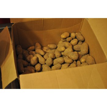 Привезенный Картофель Распределили Между 3 Магазинами