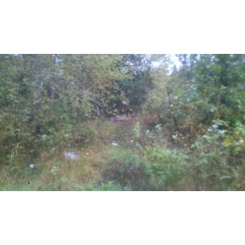 что в лагере им титова нижегородская область. 153757926 dsc 0149. что в лагере им титова нижегородская область фото. что в лагере им титова нижегородская область-153757926 dsc 0149. картинка что в лагере им титова нижегородская область. картинка 153757926 dsc 0149.