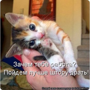 о чем мечтает женщина о любви ночной дозор. Смотреть фото о чем мечтает женщина о любви ночной дозор. Смотреть картинку о чем мечтает женщина о любви ночной дозор. Картинка про о чем мечтает женщина о любви ночной дозор. Фото о чем мечтает женщина о любви ночной дозор о чем мечтает женщина о любви ночной дозор. Смотреть фото о чем мечтает женщина о любви ночной дозор. Смотреть картинку о чем мечтает женщина о любви ночной дозор. Картинка про о чем мечтает женщина о любви ночной дозор. Фото о чем мечтает женщина о любви ночной дозор