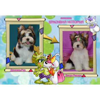 питомник красивая история вконтакте. Смотреть фото питомник красивая история вконтакте. Смотреть картинку питомник красивая история вконтакте. Картинка про питомник красивая история вконтакте. Фото питомник красивая история вконтакте питомник красивая история вконтакте. Смотреть фото питомник красивая история вконтакте. Смотреть картинку питомник красивая история вконтакте. Картинка про питомник красивая история вконтакте. Фото питомник красивая история вконтакте