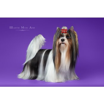 питомник красивая история вконтакте. Смотреть фото питомник красивая история вконтакте. Смотреть картинку питомник красивая история вконтакте. Картинка про питомник красивая история вконтакте. Фото питомник красивая история вконтакте питомник красивая история вконтакте. Смотреть фото питомник красивая история вконтакте. Смотреть картинку питомник красивая история вконтакте. Картинка про питомник красивая история вконтакте. Фото питомник красивая история вконтакте