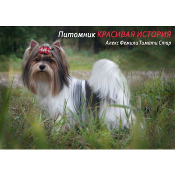 питомник красивая история вконтакте. Смотреть фото питомник красивая история вконтакте. Смотреть картинку питомник красивая история вконтакте. Картинка про питомник красивая история вконтакте. Фото питомник красивая история вконтакте питомник красивая история вконтакте. Смотреть фото питомник красивая история вконтакте. Смотреть картинку питомник красивая история вконтакте. Картинка про питомник красивая история вконтакте. Фото питомник красивая история вконтакте