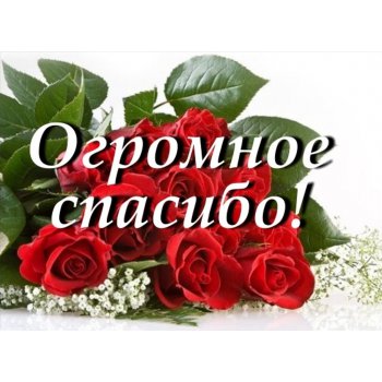 что делать если залил спатифиллум. Смотреть фото что делать если залил спатифиллум. Смотреть картинку что делать если залил спатифиллум. Картинка про что делать если залил спатифиллум. Фото что делать если залил спатифиллум