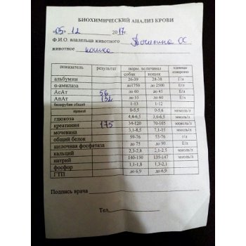 Синулокс для кошек передозировка что делать. Смотреть фото Синулокс для кошек передозировка что делать. Смотреть картинку Синулокс для кошек передозировка что делать. Картинка про Синулокс для кошек передозировка что делать. Фото Синулокс для кошек передозировка что делать