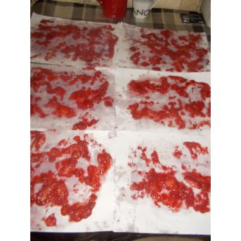 Можно ли замораживать семена клубники. 206858918 dscn3123. Можно ли замораживать семена клубники фото. Можно ли замораживать семена клубники-206858918 dscn3123. картинка Можно ли замораживать семена клубники. картинка 206858918 dscn3123. Дачник