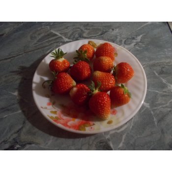 Можно ли замораживать семена клубники. 206859146 dscn3096. Можно ли замораживать семена клубники фото. Можно ли замораживать семена клубники-206859146 dscn3096. картинка Можно ли замораживать семена клубники. картинка 206859146 dscn3096. Дачник