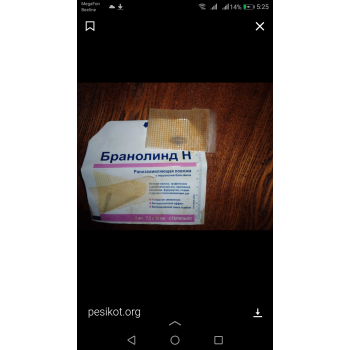 У собаки ранка на лапке чем лечить. Смотреть фото У собаки ранка на лапке чем лечить. Смотреть картинку У собаки ранка на лапке чем лечить. Картинка про У собаки ранка на лапке чем лечить. Фото У собаки ранка на лапке чем лечить