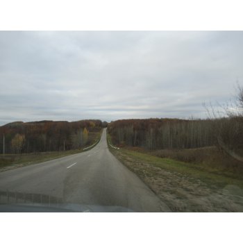 216334694 img 0512