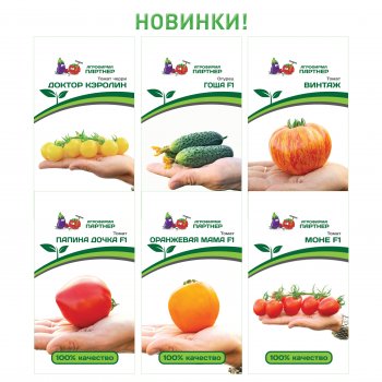 помидор папина дочка характеристика и описание. Смотреть фото помидор папина дочка характеристика и описание. Смотреть картинку помидор папина дочка характеристика и описание. Картинка про помидор папина дочка характеристика и описание. Фото помидор папина дочка характеристика и описание