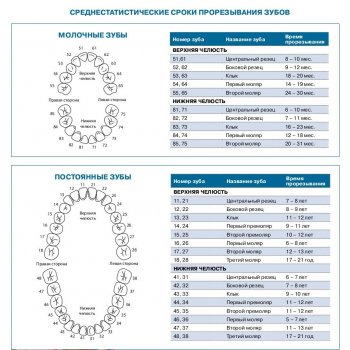 влил в себя шестерку и теперь я беременный что значит. Смотреть фото влил в себя шестерку и теперь я беременный что значит. Смотреть картинку влил в себя шестерку и теперь я беременный что значит. Картинка про влил в себя шестерку и теперь я беременный что значит. Фото влил в себя шестерку и теперь я беременный что значит
