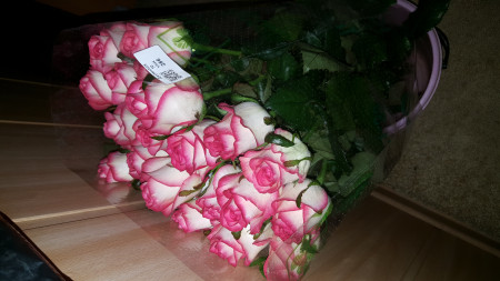 Стерлитамак Розы Недорого Купить