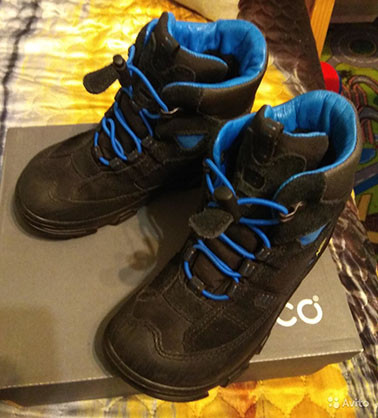 ecco 29